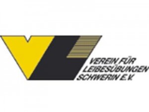 VfL Schwerin_logo_400x300